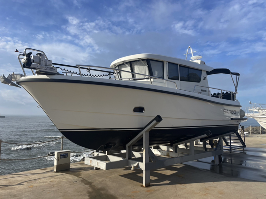 SARGO 31