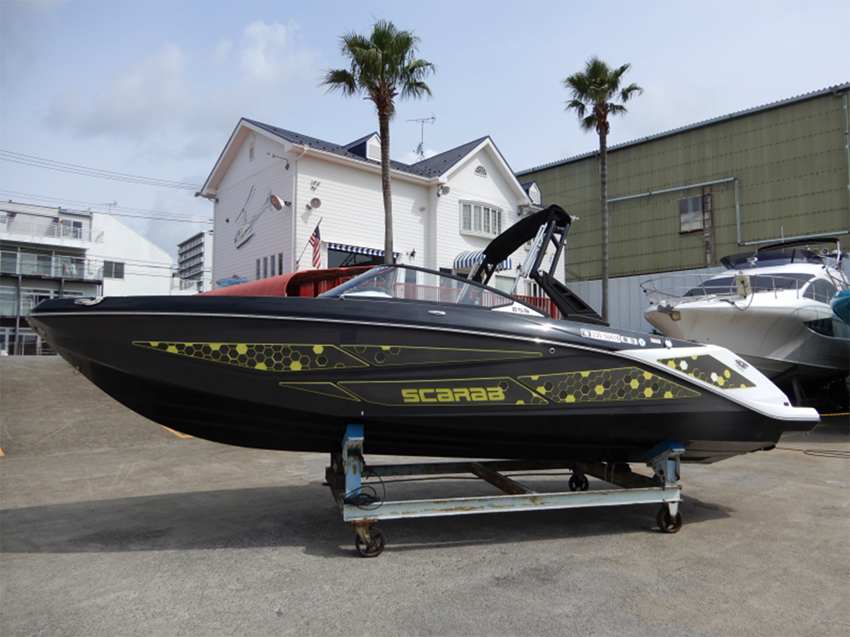 SCARAB 255