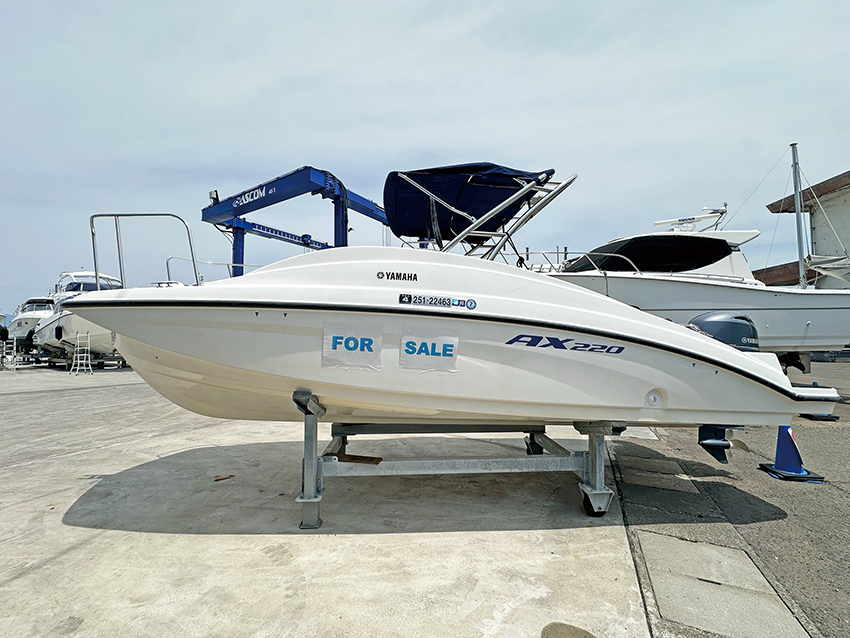 AX220